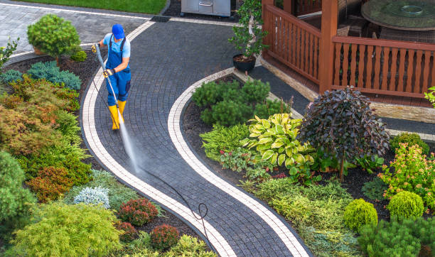 Best Roof Power Washing Services  in Plumsteadville, PA