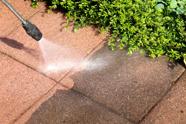 Best Local Pressure Washing Services  in Plumsteadville, PA